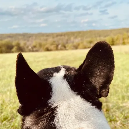 Le Domaine De Camberoux Saint-Marcel-du-Périgord